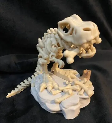 Articulating T-Rex Skeleton Desktop Fidget Toy 3D Printed Choose Your Colors • $32.99