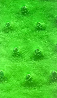 Neon Lime Ostrich Faux Vinyl Marine Grade UV Resistance Waterproof Fabric • $32