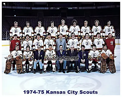 $5.99 • Buy 1974 - 75 Kansas City Scouts Inaugural Season Team Color 8 X 10 Photo Picture