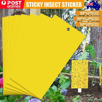 10/50PCS Yellow Sticky Fly Trap Fruit Fungus Gnat Traps Insect Killer Catcher • $12.69