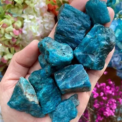 Rough Blue Apatite Large Chunks Healing Crystal Rocks Specimens Gift Decoration • $7.90