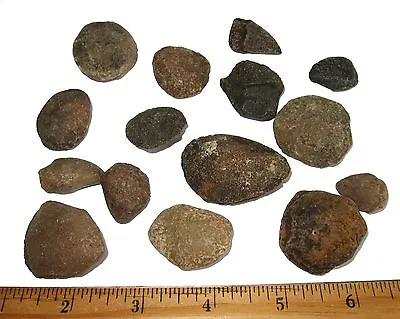 $3.74 • Buy Pleistocene Ice Age Turtle Fossil Armour Spike Armor Bone Spur Florida 3 Per Bid