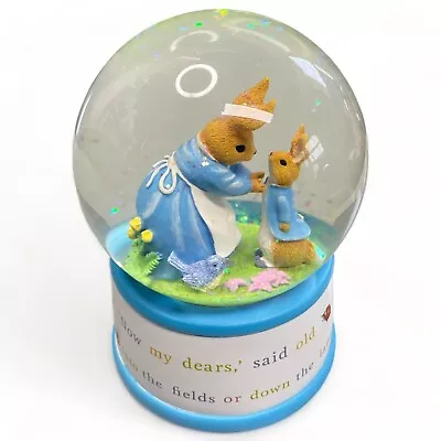 BARNES & NOBLE Beatrix Potter Peter Rabbit Musical Water Globe 5.5  Tall • $24.95