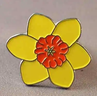 Daffodil Pin Badges • £3.45