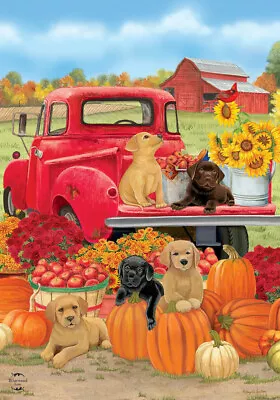 Briarwood Fall Puppies Truck Pumpkin Dog Farm Mums Mini Window Garden Yard Flag • $8.97