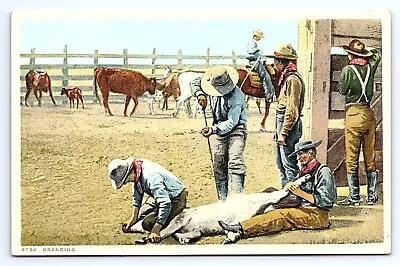 Postcard Cattle Branding On A Frontier Ranch Detroit Publishing Phostint Cowboys • $6.75