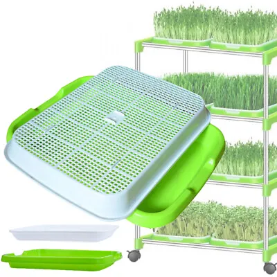 £9.41 • Buy Tray Basket Trays Plant Grow Germination Seddling Starter Seed Sprouter