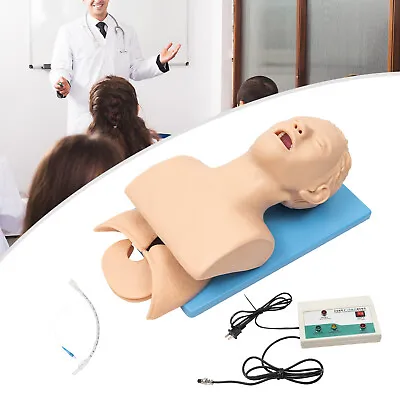 $239 • Buy Intubation Manikin Study Teaching Training Model Airway Management Trainer