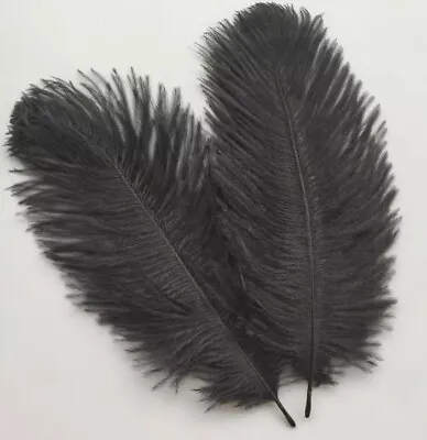 BULK 50pcs Black Ostrich Feathers 15-20cm DIY Craft Millinery Costume Decor Part • $29.95