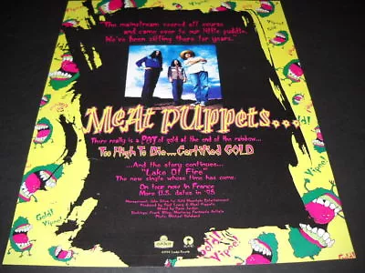 MEAT PUPPETS Been Sitting In The Little Puddle For Years 1994 PROMO POSTER AD • $9.95