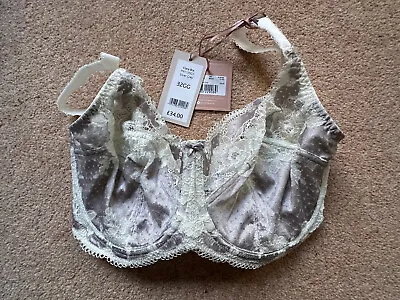 NEW Panache Clara Bra 32GG Silver Grey *FREE POSTAGE* • £14