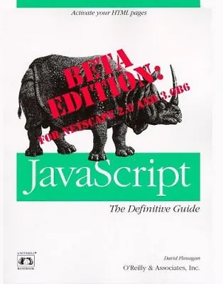 JavaScript The Definitive Guide David Flanagan • £6.49