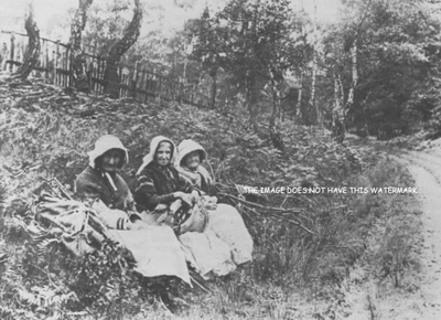 £6 • Buy Cannock Chase Rugeley Staffordshire Victorian Ladies 1896 Vintage Mounted Print 