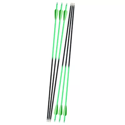 12pcs Fiberglass Arrows Hunting Archery Target Arrows Recurve Bow Longbow • $21.99