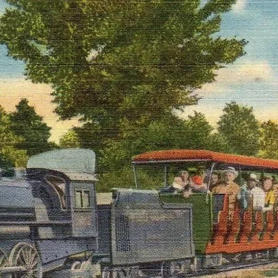 $9.55 • Buy Miniature Railroad Train Ride In Zoological Park Detroit Michigan MI Postcard
