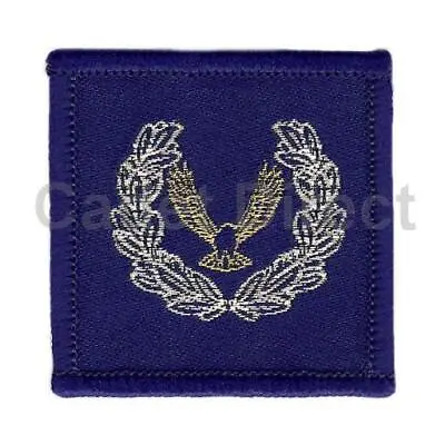 Air Cadet Master Cadet Badge • £2.45