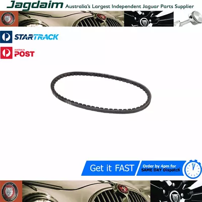 New Jaguar Daimler 2.5 V8 250 Dynamo Belt C21025 • $31.21