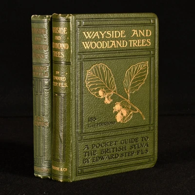 £104 • Buy 1908 2vol Wayside And Woodland Ferns And Trees Edward Step Illustrated