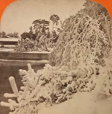 StereoView Photo Card - Ice Foliage On Luna Island At Niagara Falls - John Soule • $20