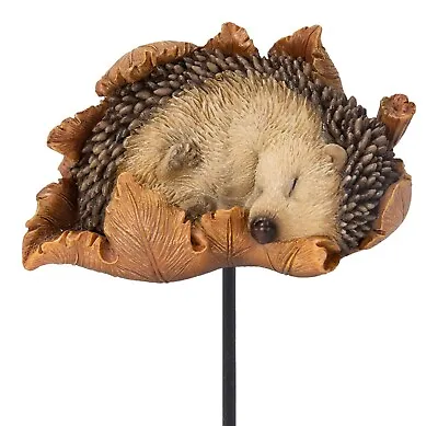 Vivid Arts Hedgehog Plant Pal On A Stick Resin Home Or Garden Decoration  • £13.98