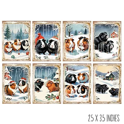 Winter Christmas Guinea Pigs Card Toppers Cardmaking Scrapbooking Tags Craft Atc • £2.80