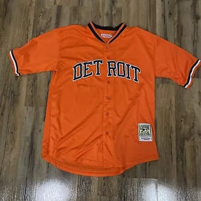 Vintage Detroit Tigers Ty Cobb Mitchell And Ness Large Jersey • $20