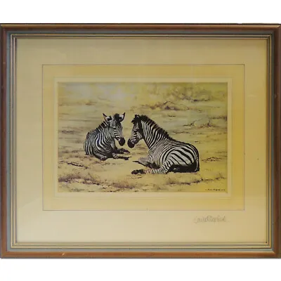 Zebra By David Shepherd - Signed Print • £65