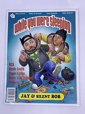 While You Were Sleeping #14 JAY & SILENT BOB RZA MARK BODE JOHN POUND RARE 2001 • $50