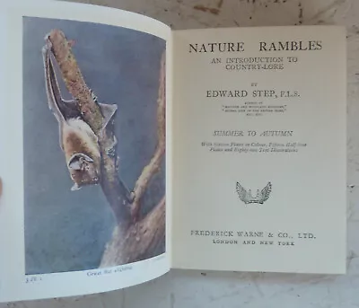 Vintage Book 1934 Nature Rambles Country-Lore Summer To Autumn  Edmund Step H/B • £12