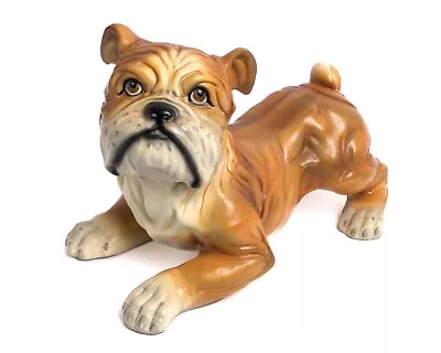 Vintage English Bulldog Life Size Plaster / Concrete Dog Statue Doorstop Heavy • $178