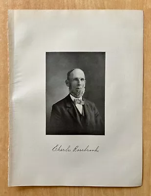 Antique Print 1903 CHARLES ROSEBROOKS Mansfield Connecticut CT Portrait • $24.99