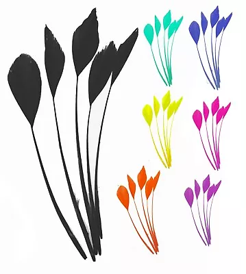 Long Fascinators Feathers Stripped Coque Millinery Hats Trimmings Coloured Craft • £2.99