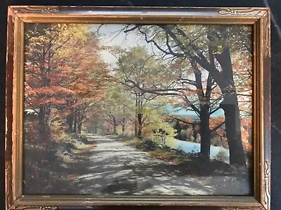 Charles Sawyer Lithograph “Autumnal Glory”   15.5”x12”  Framed • $49.95