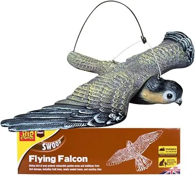 The Big Cheese Flying Falcon With Sprung Hanging System Realistic Decoy Deterre • £19.65