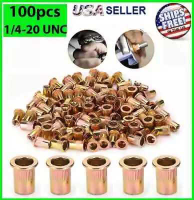 100 Pc Rivet Nuts 1/4-20 Carbon Steel Rivnut Insert Nutsert Threaded Flat Head • $8.95