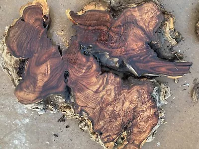 Nice Live Edge Slab Of Arizona Desert Mesquite Burl Wood 30”x25”x2” • $399