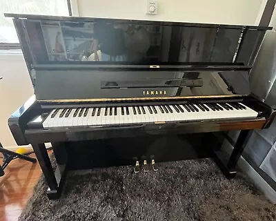 Yamaha Upright Piano With Stool  U1G  SN 1287367 • $5500