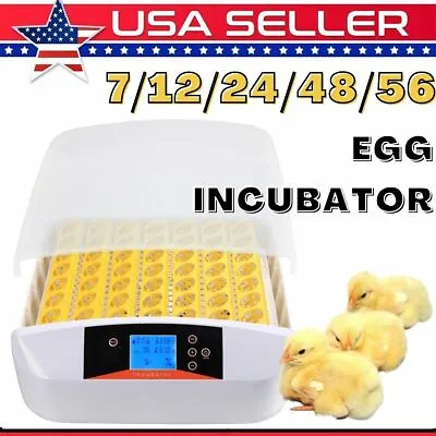 12-55 Egg Incubator Chicken Quail Hatcher Automatic Incubators For Hatching Eggs • $79.99