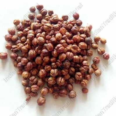 Lot Jyotishmati Malkangani Seeds Celastrus Paniculatus Intellect Tree • £11.96