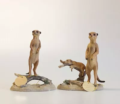 Leonardo Collection 'Out Of Africa' Meerkat Ornaments. • £15