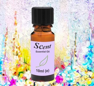 £1.79 • Buy ESSENTIAL OILS - 10ml - 100% Pure & Natural - For Aromatherapy & Home Fragrances