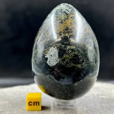 Kambaba Jasper (stromatolite) Egg For Nurturing And Growth • £22.20