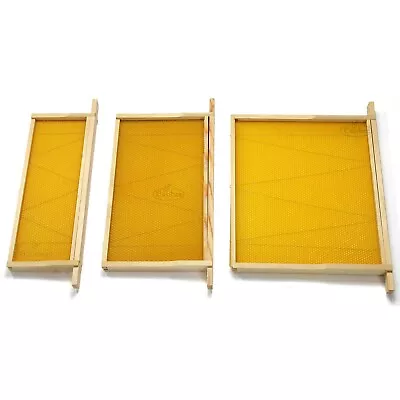 National Beehive Wired Wax Foundation Sheets And Frames Beekeeping Easibee • £94.99