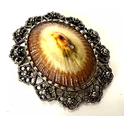 Gold Tone Unique Shell Cameo Style Vintage Brooch Jewelry Lot Y • $2.50