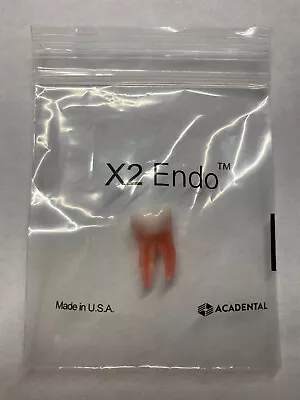 Acadental X2 Endo Tooth #30 For WREB/CDCA/ADEX Exam Or Dental School Bench Exams • $19.95