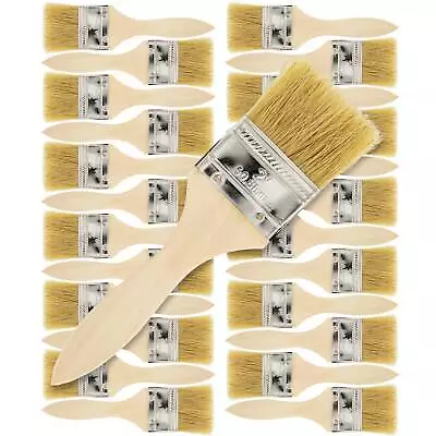US Art Supply 2  Chip Brushes Paint Glue Adhesives Touchups 2 Inch Lot Of 24 • $17.99