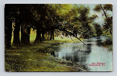 C1909 DB Postcard Mifflinburg PA Pennsylvania The Willows Buffalo Creek View • $5.43