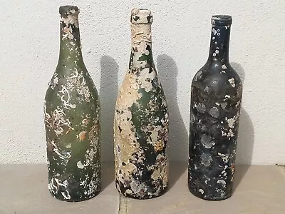 Shipwreck Champagne Bottles X3 • $67.82