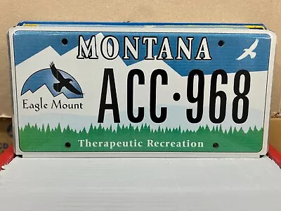 Therapeutic Recreation Eagle Mount Montana License Plate • $6