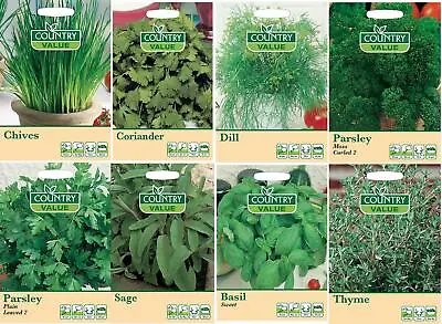 £1.79 • Buy  Herbs Seeds Thyme Sage Parsley Dill Coriander Chives Basil Vegetable Gardn